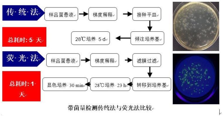食品中霉菌菌落总数快速检测仪